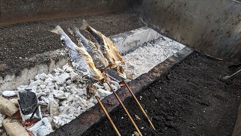 ヤマメを炭火で塩焼きに