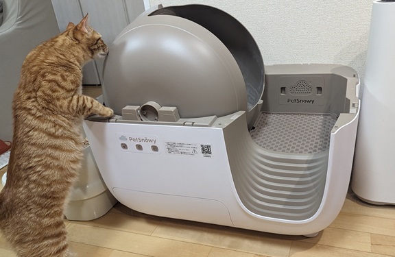 上部カバーを外したら猫が気になってます