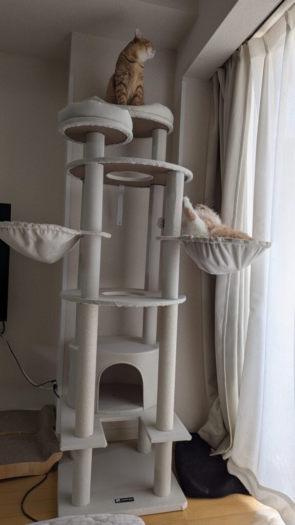 さっそく新しいキャットタワーで寛いでいる