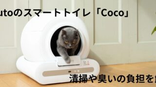 Cocoの紹介記事