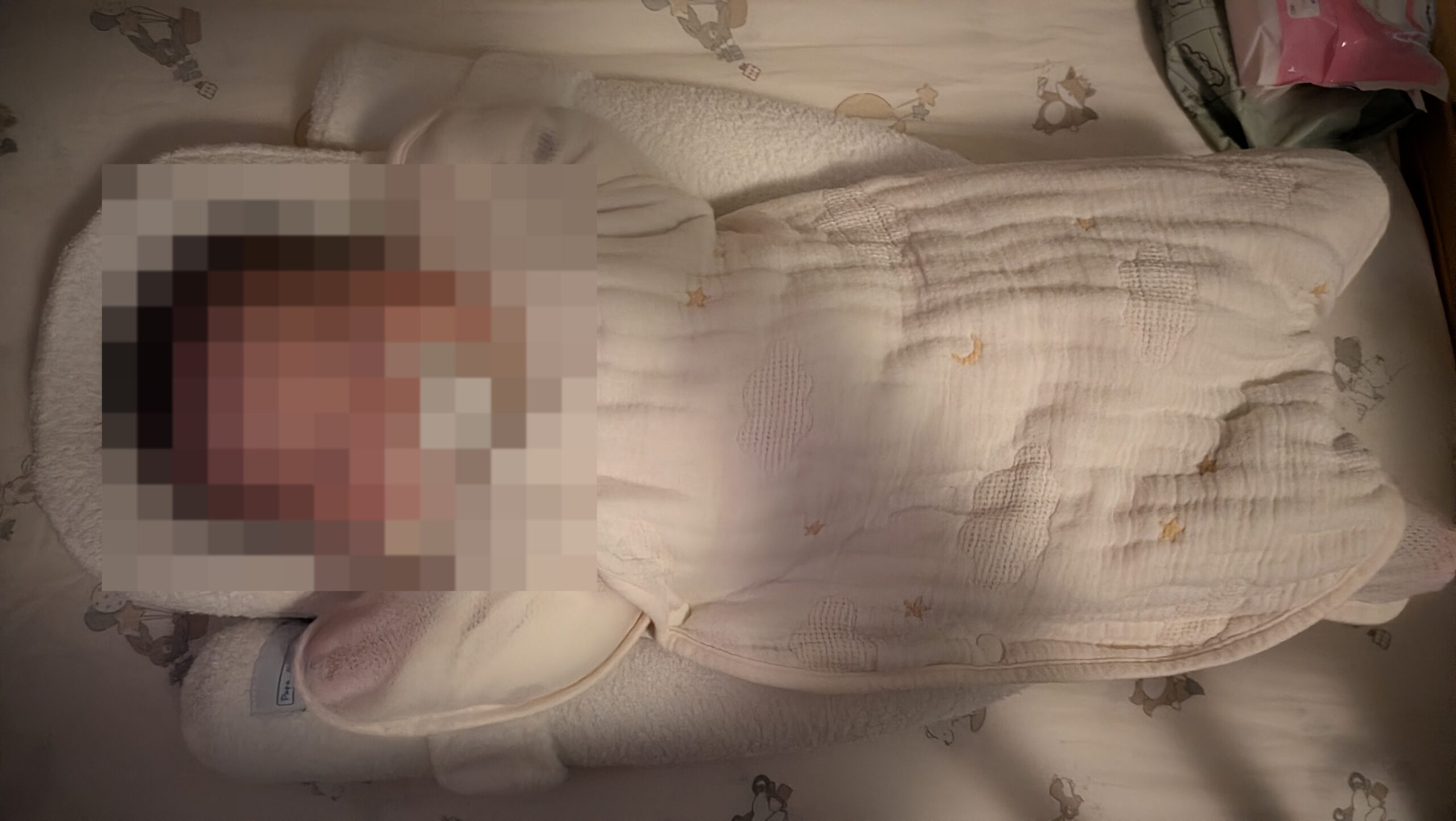 夜にNidoo Bioでまとまって眠る赤ちゃん